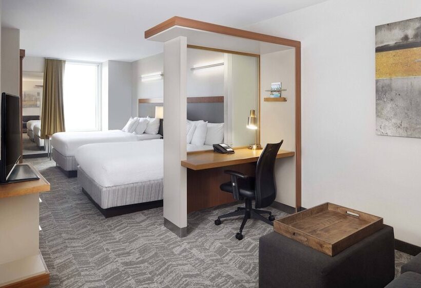 סטודיו סטנדרט נוף לעיר, Springhill Suites Indianapolis Downtown