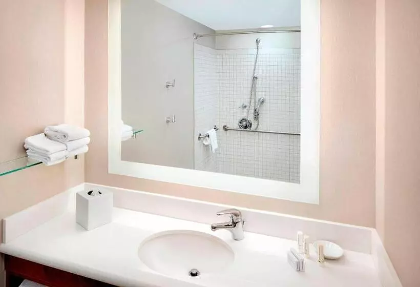 キングサイドベッドのスタンダードワンルーム, Springhill Suites Indianapolis Downtown