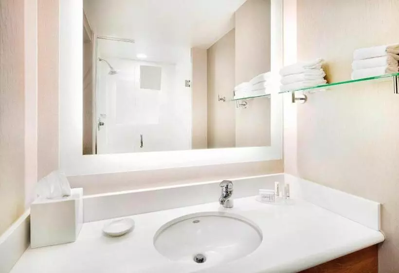 キングサイドベッドのスタンダードワンルーム, Springhill Suites Indianapolis Downtown