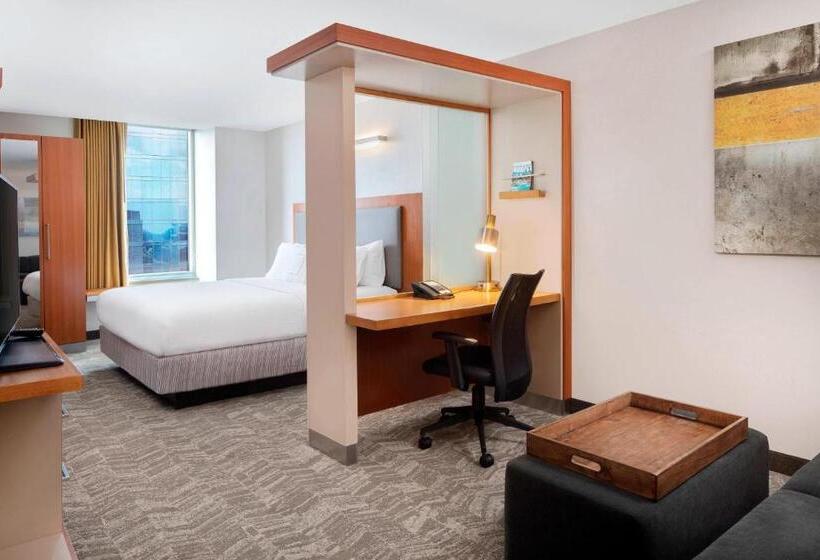 סטודיו סטנדרט, מיטה זוגית, Springhill Suites Indianapolis Downtown