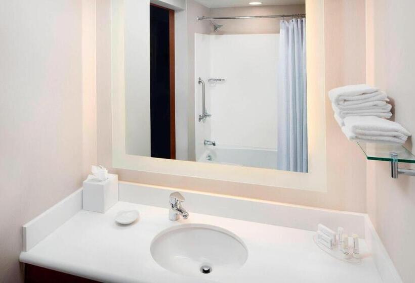 סטודיו סטנדרט עם נוף, Springhill Suites Indianapolis Downtown