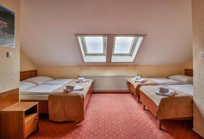 スタンダード４人部屋, Tábor