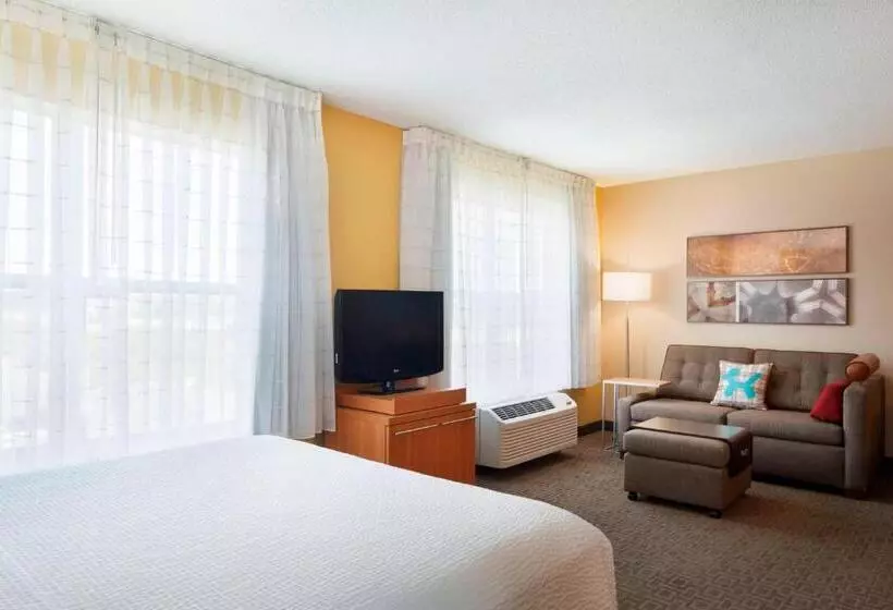 クイーンベッドのスタンダードスタジオ, Towneplace Suites By Marriott Chicago Naperville