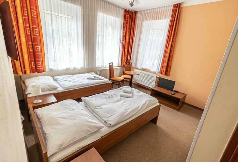 Standard Szoba, Letní Pobyt Na Hotelu Samechov V Posázaví