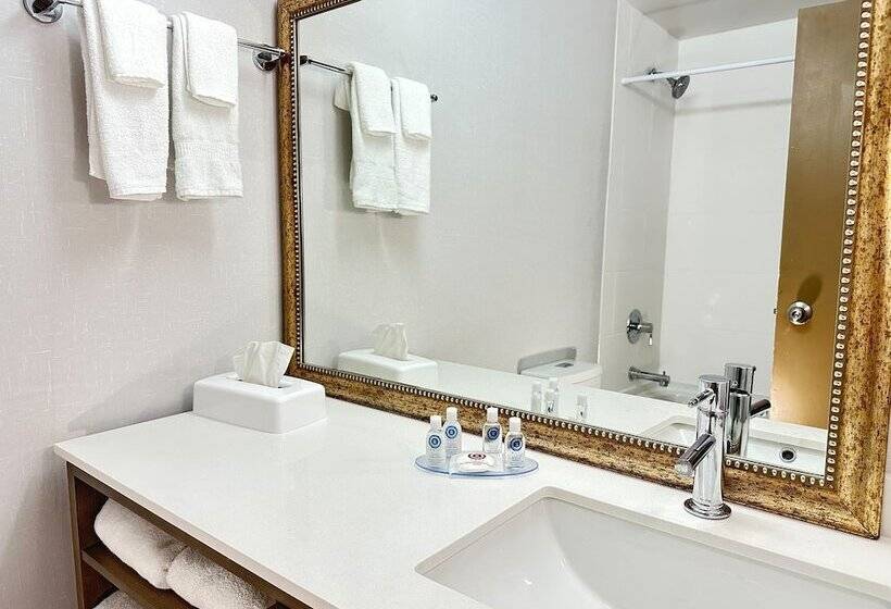带2个双人床的标准工作室, Comfort Inn & Suites