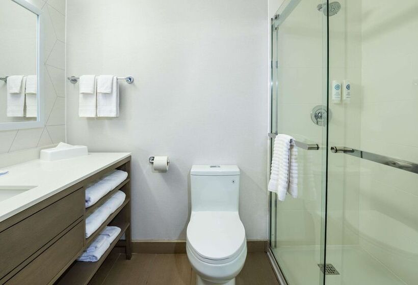 带2个双人床的标准工作室, Comfort Inn & Suites