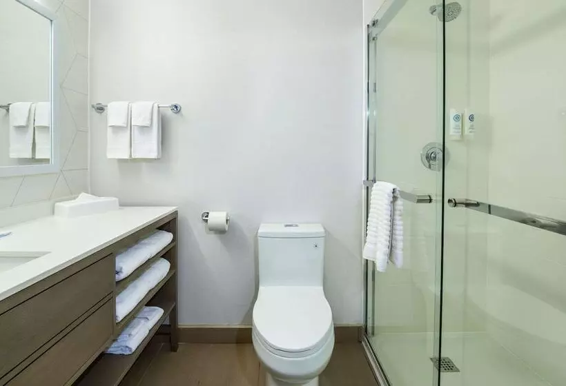 スイート, Comfort Inn & Suites