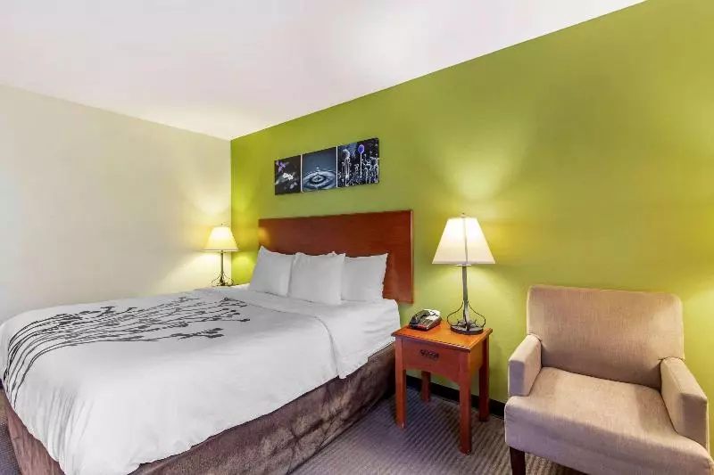 キングサイズベッドのスタンダードルーム, Sleep Inn & Suites Jacksonville West