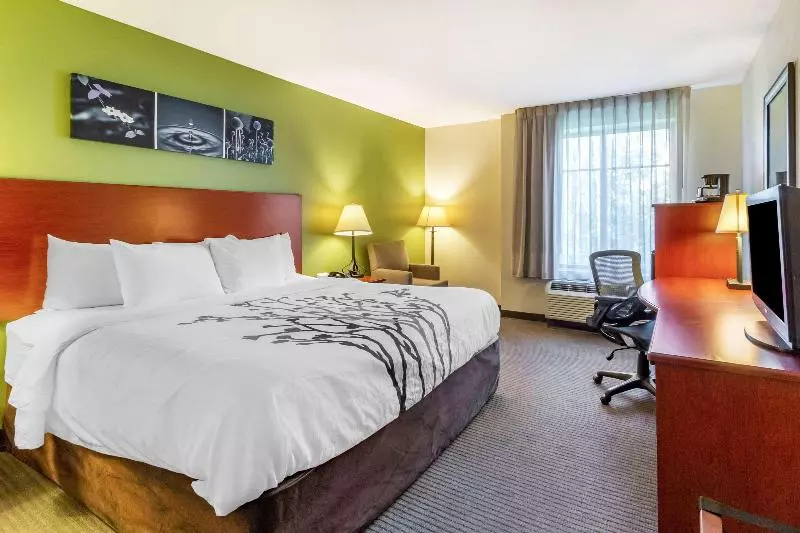 キングサイズベッドのスタンダードルーム, Sleep Inn & Suites Jacksonville West