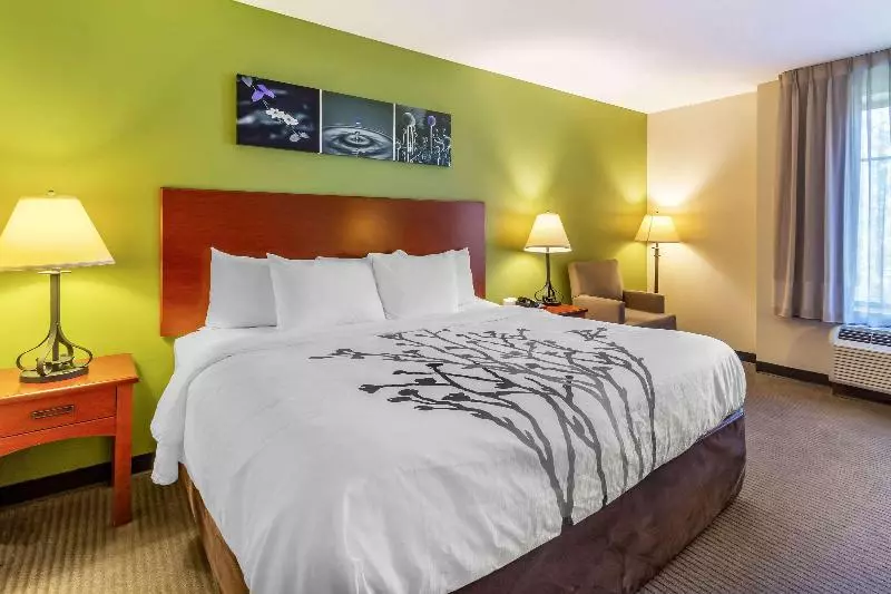 キングサイズベッドのスタンダードルーム, Sleep Inn & Suites Jacksonville West