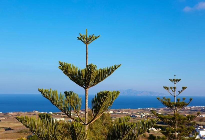 스탠다드 룸, Milos Villas