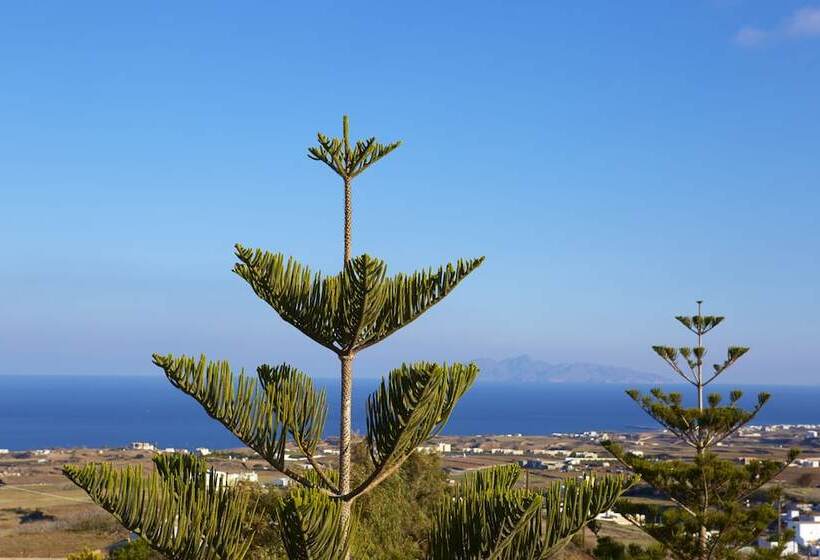 스탠다드 룸, Milos Villas