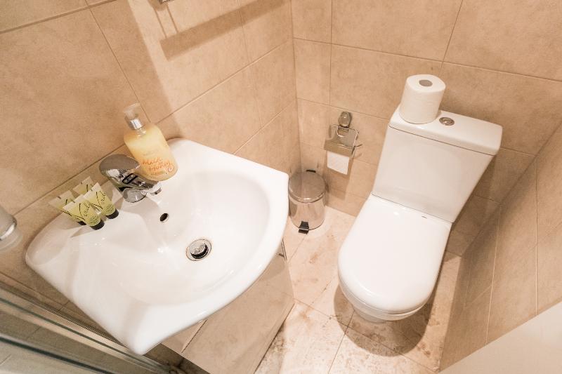 带铺位的标准三人间, Ebury House