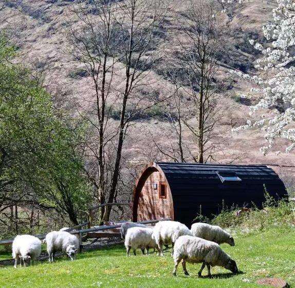 Mökki 1 Makuuhuone, Glencoe Youth Hostel