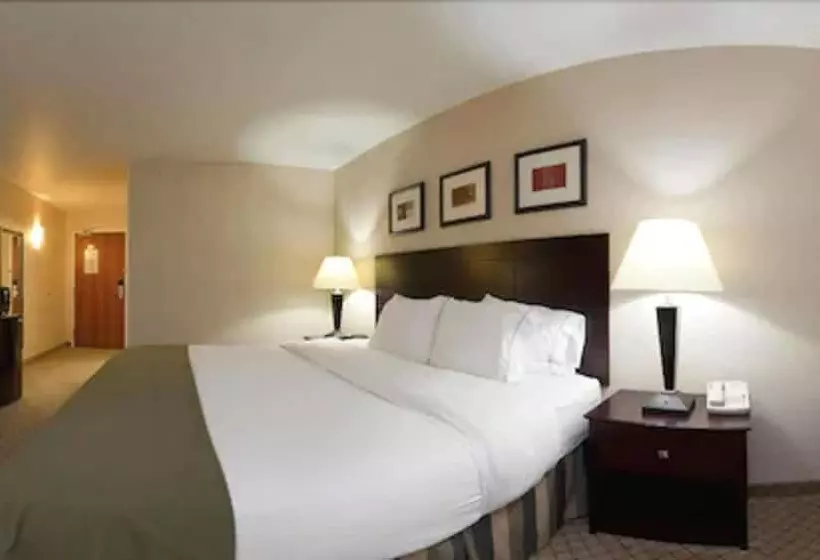 身障者適用スイートルーム, La Quinta Inn & Suites By Wyndham Ankeny Ia   Des Moines Ia