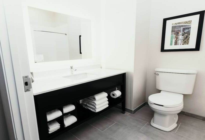 سوییت, La Quinta Inn & Suites By Wyndham Ankeny Ia   Des Moines Ia