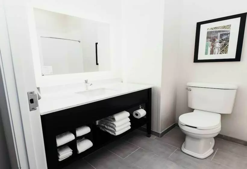 スイート, La Quinta Inn & Suites By Wyndham Ankeny Ia   Des Moines Ia
