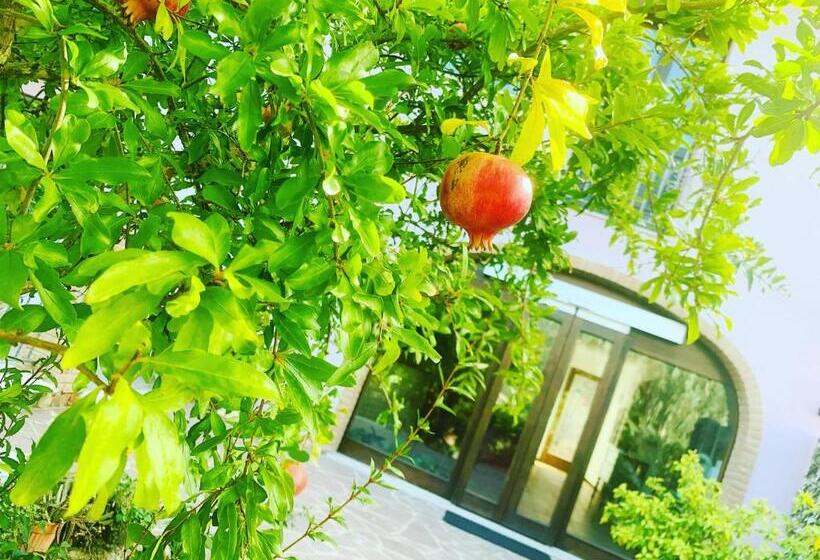 סטודיו סטנדרט עם מרפסת, Residenza Locci  Rooms & Apartments