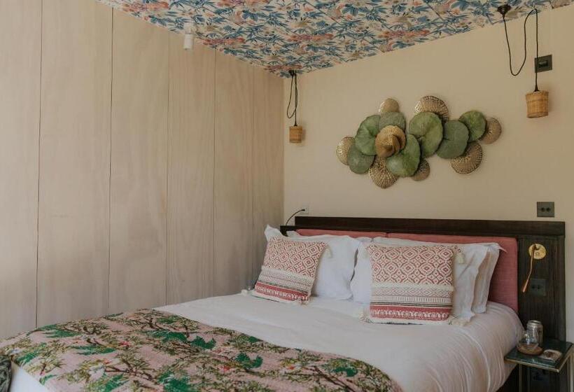 スタンダードルーム, Newton Hall