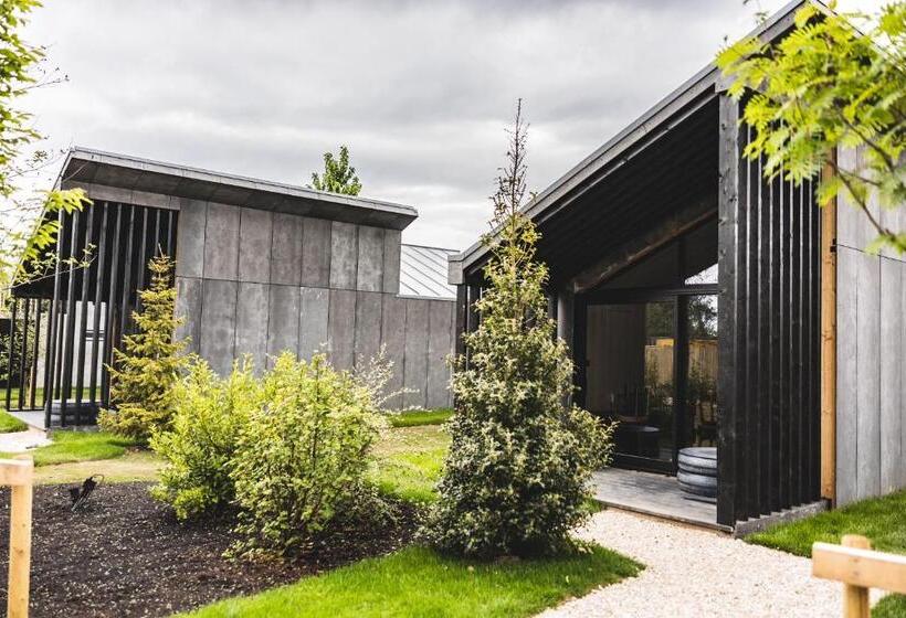 スタンダードルーム, Newton Hall