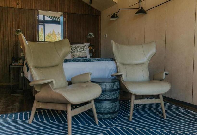 スタンダードルーム, Newton Hall