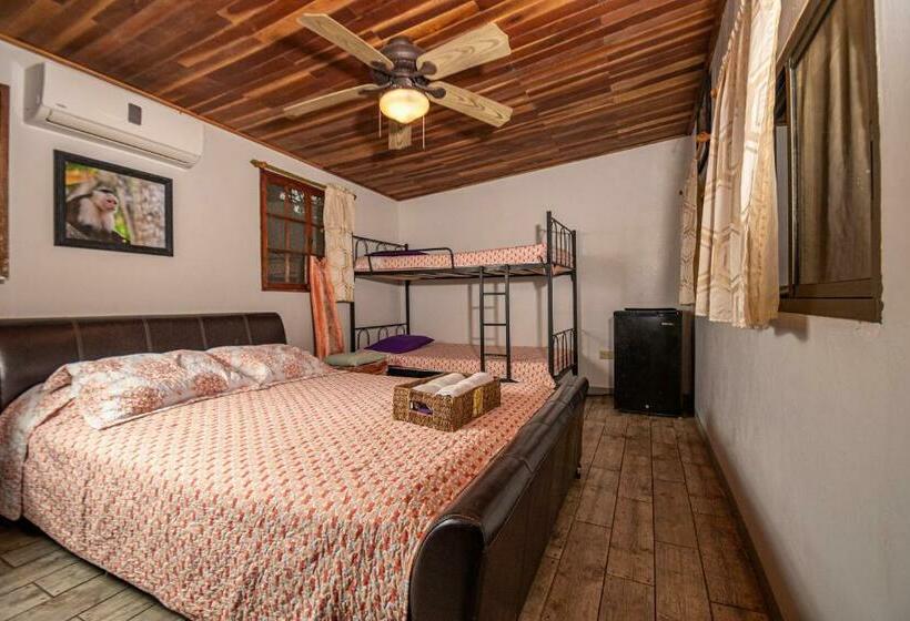 基本间, Monkey Lodge Panama