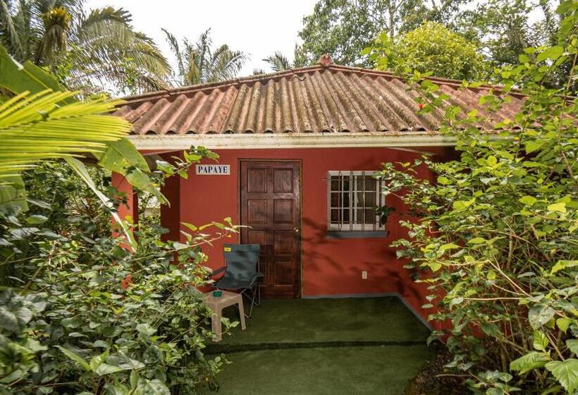 高级洋房, Monkey Lodge Panama