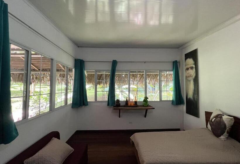 豪华洋房, Monkey Lodge Panama
