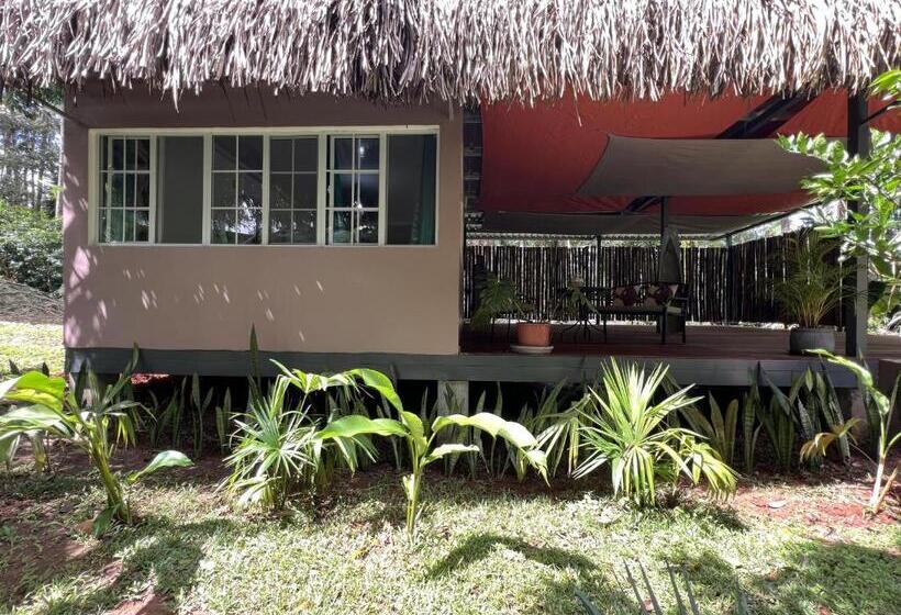 豪华洋房, Monkey Lodge Panama