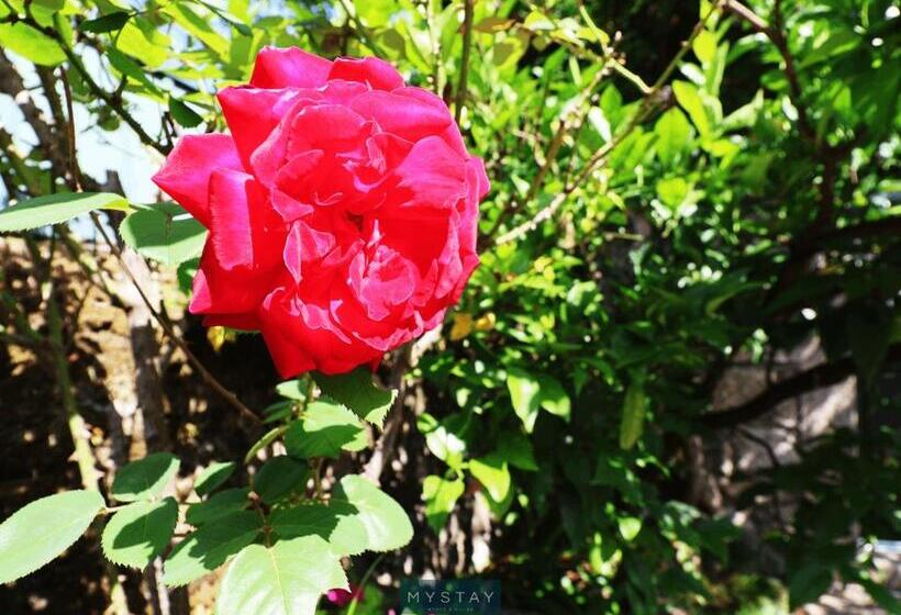 Апартаменты 2 Спальни, Casa De Abbades