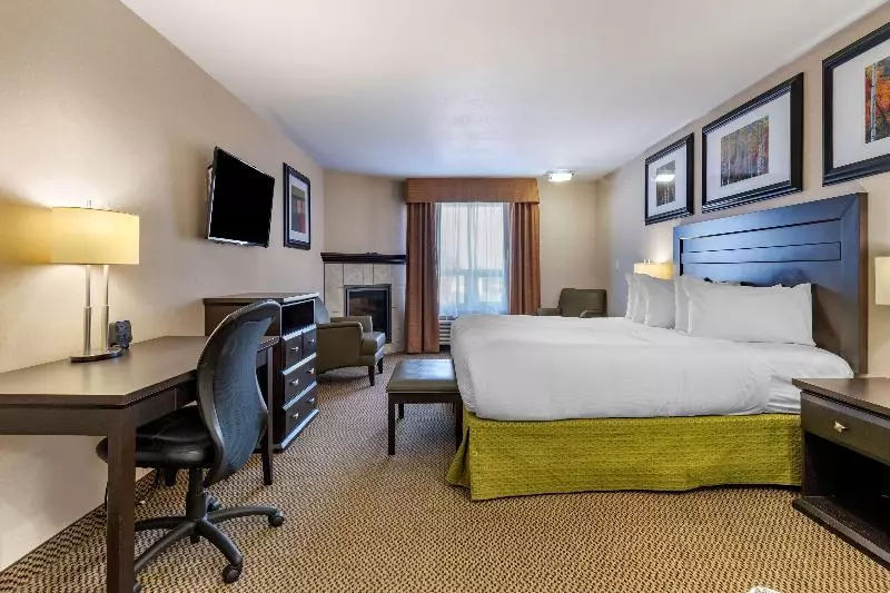 キングサイズベッドのスイートルーム, Best Western Bonnyville Inn & Suites