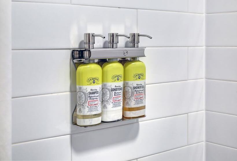 جناح لذوى الاحتياجات الخاصة, Holiday Inn Express & Suites   Woodstock, On Canada