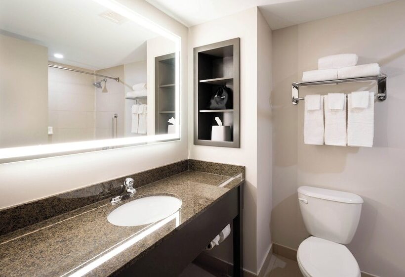 标准间, Holiday Inn Express Kingston Central, An Ihg