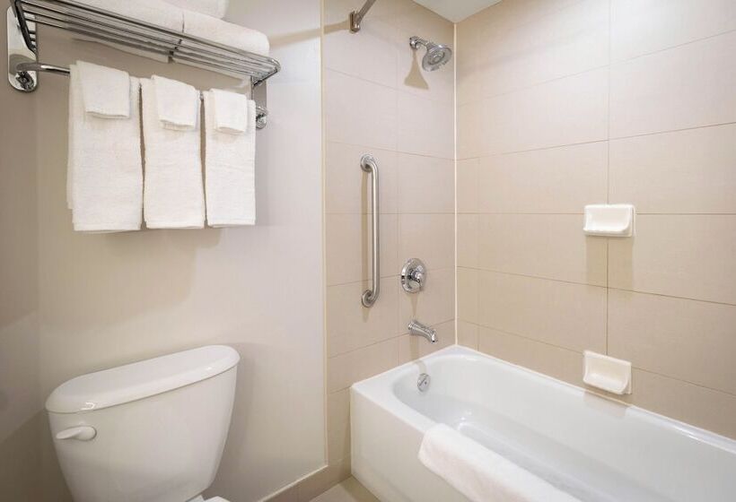 标准间, Holiday Inn Express Kingston Central, An Ihg