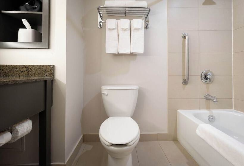 스탠다드 룸, Holiday Inn Express Kingston Central, An Ihg
