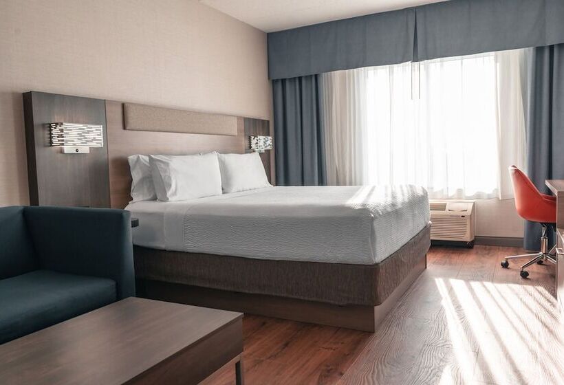 标准间, Holiday Inn Express Kingston Central, An Ihg