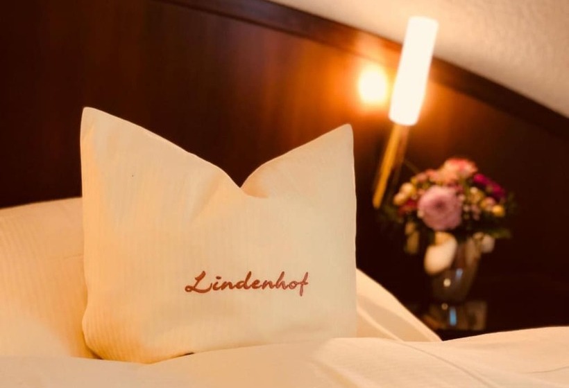 Номер Комфорт, Lindenhof