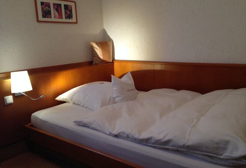Номер Стандарт Индивидуальный, Lindenhof