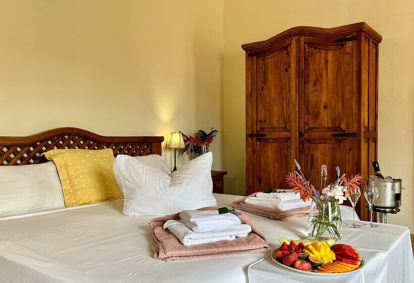 标准间, Rural Nou Dalt Muntanya