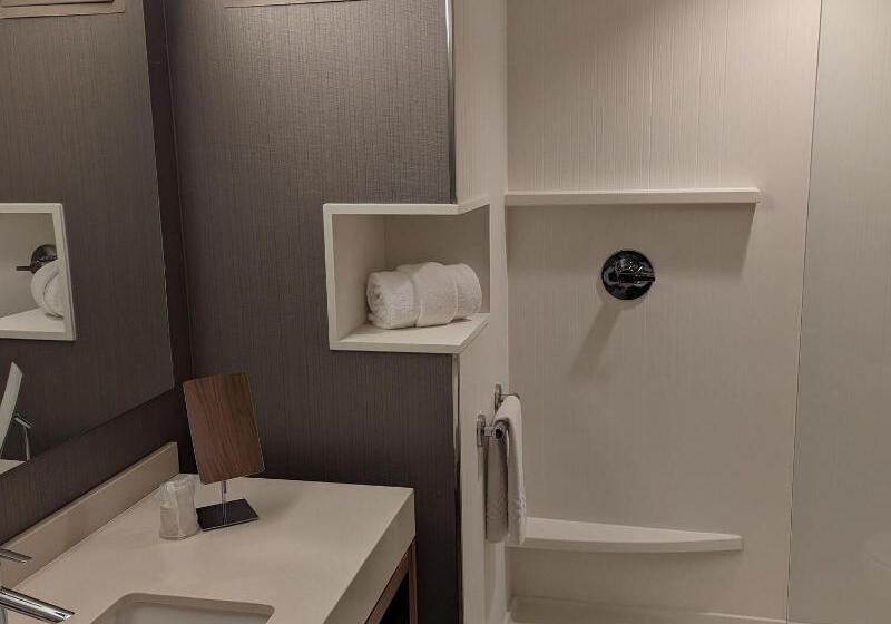 شقة غرفة واحدة, Wyndham Resort Torquay