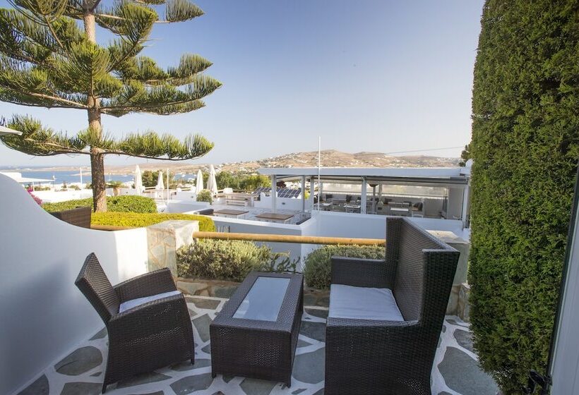 수피리어 룸, Paros Palace