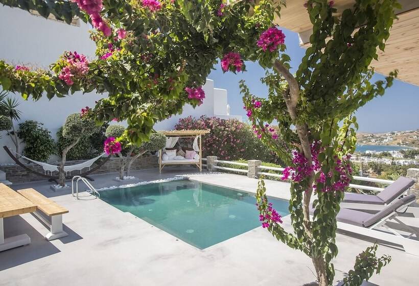 디럭스 스위트, Paros Palace