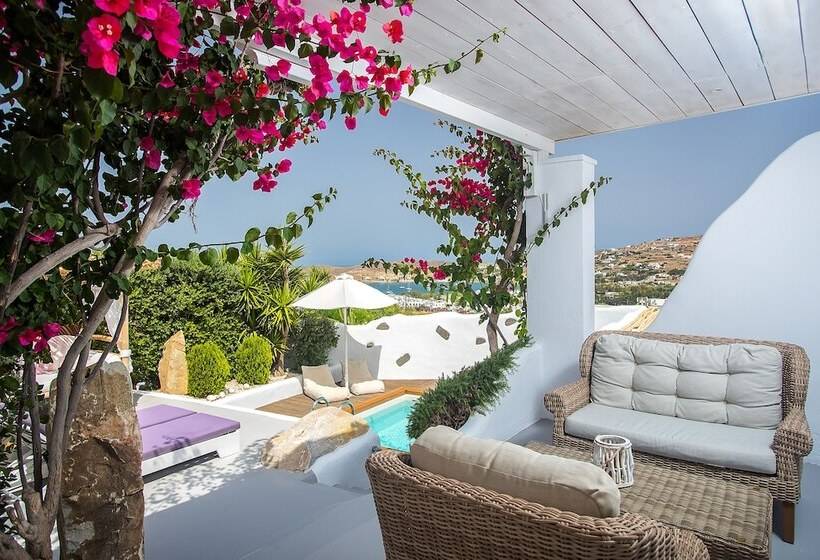 高级套房, Paros Palace