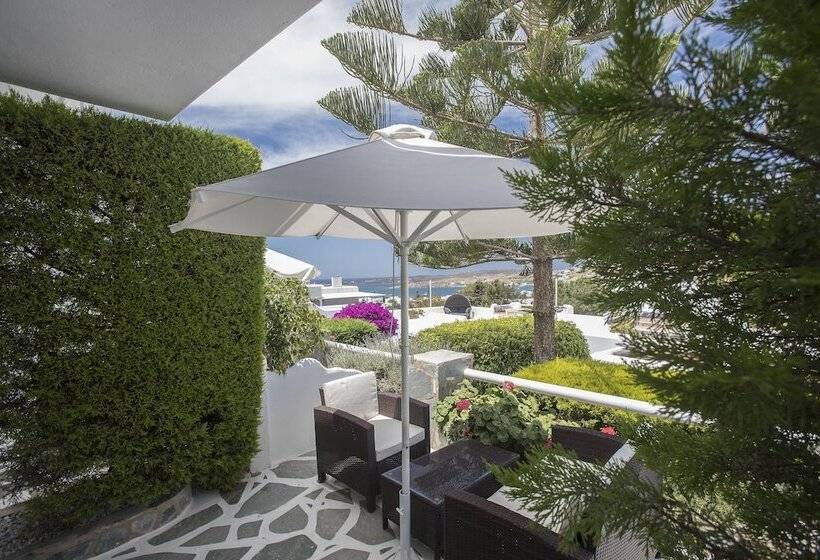 高级套房, Paros Palace