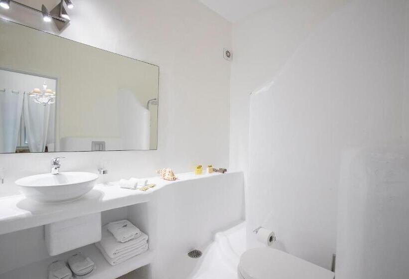 高级套房, Paros Palace