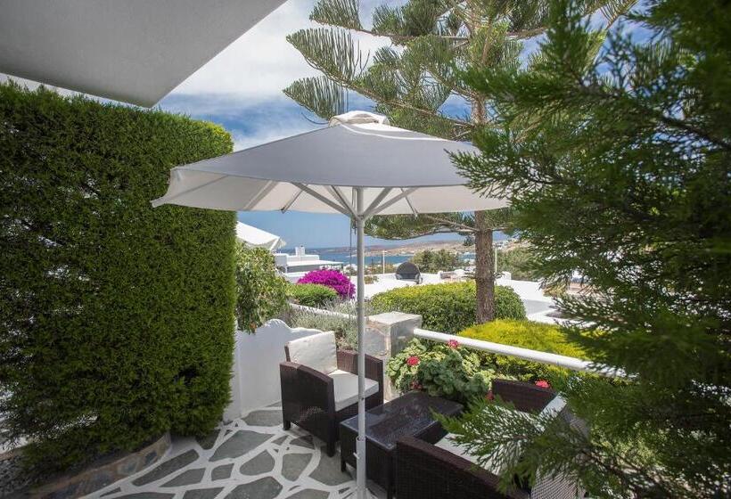 高级套房, Paros Palace