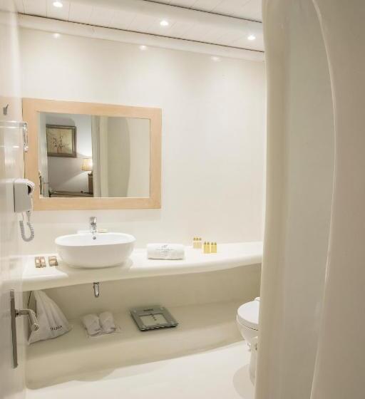 수피리어 스위트, Paros Palace