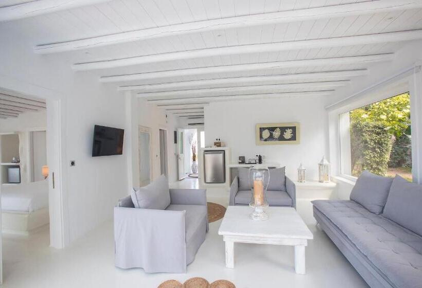 디럭스 스위트, Paros Palace