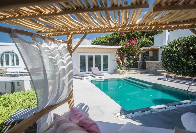 豪华套房, Paros Palace