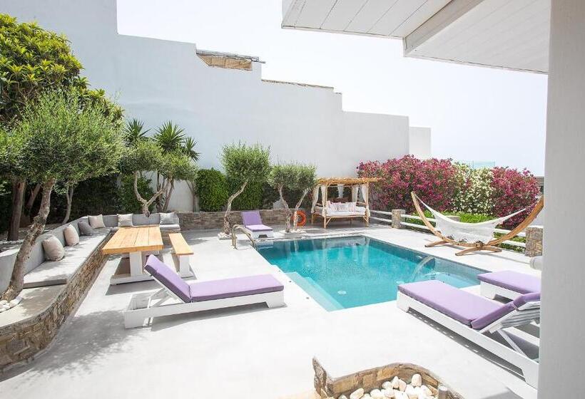 豪华套房, Paros Palace